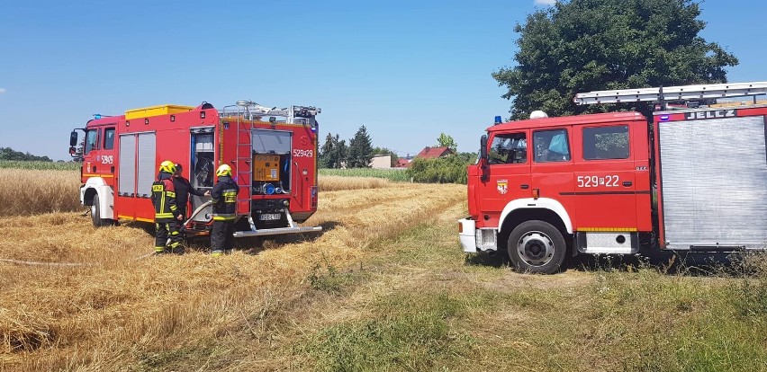 Fala pożarów w powiecie obornickim. Strażacy mają pełne ręce roboty [ZDJĘCIA]