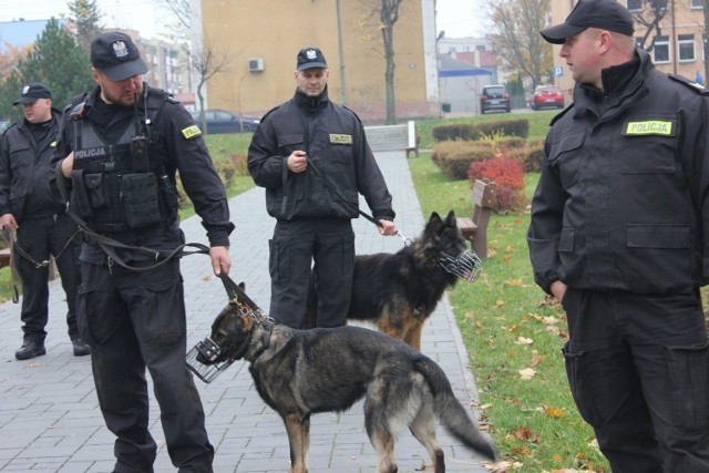 W Komendzie Policji będą, między innymi, pokazy tresury psów policyjnych.