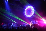 The Australian Pink Floyd Show w Bydgoszczy [zapowiedź]