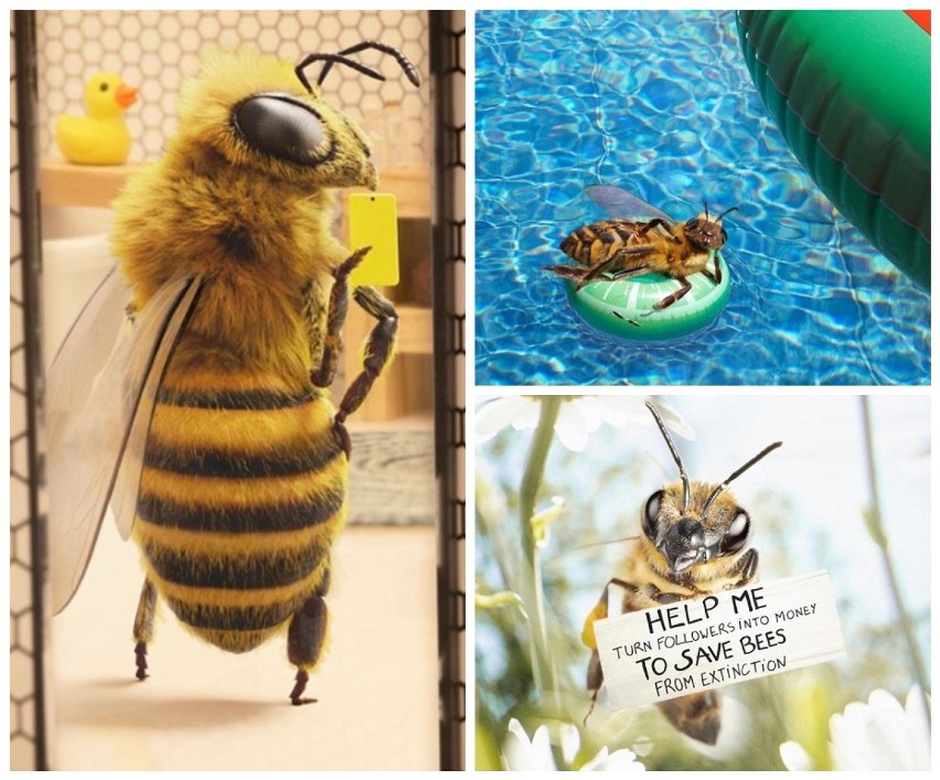 Pszczoła została influencerką! Akcja na Instagramie ma pomóc w ratowaniu pszczelich rodzin (ZDJĘCIA)
