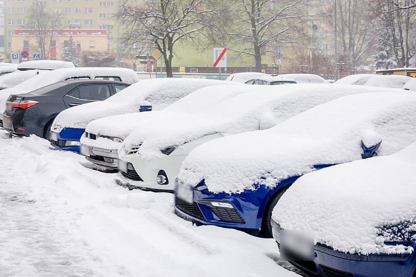 Wałbrzych: Śnieg na zakończenie noworocznego weekendu (ZDJĘCIA)