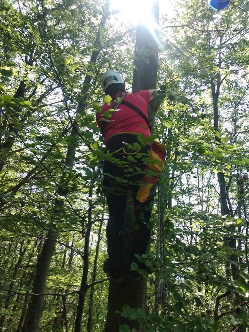 Wypadek paralotniarzy na górze Żar: na drzewie utknęli pilot i 12-letni chłopak