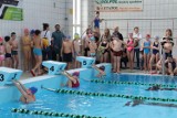 Mityng pływacki Bij Mistrza 2023 w Wieluniu ZDJĘCIA