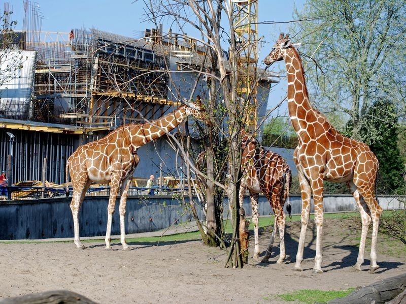 Afrykarium - zoo Wrocław