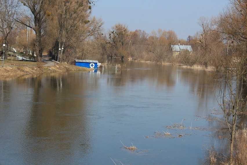 Powoli, podnosi się poziom wody w Wieprzu w Krasnymstawie. W...