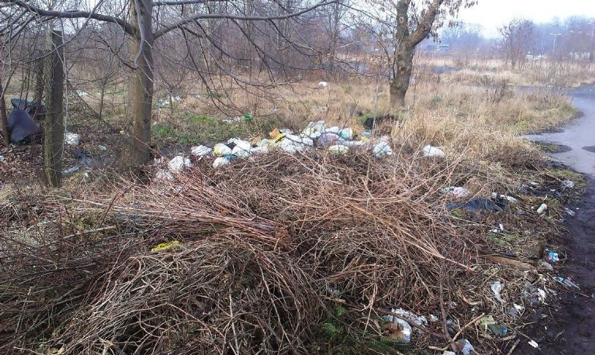 Tak wyglądają okolice strzelnicy przy Bukowskiej