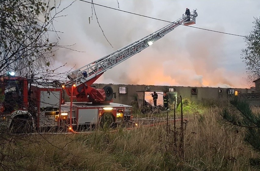 Pożar w Mysłowicach gasi ponad 20 zastępów straży...