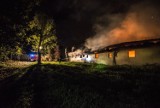 Tragiczny pożar chlewni w Galinkach w powiecie rawskim. Zginęło 2,5 tys. świń [ZDJĘCIA]