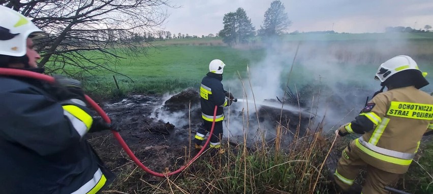Pożar nieużytków w gminie Dobrzyca - 13 maja 2022 roku
