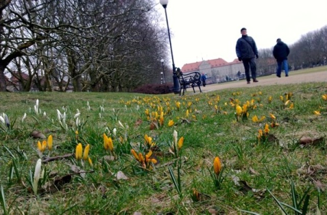 Sobota zapowiada się słonecznie, przez cały dzień będzie ciepło, ...