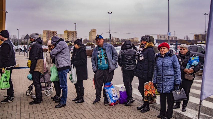 W Inowrocławiu rozdaliśmy 200 świątecznych drzewek