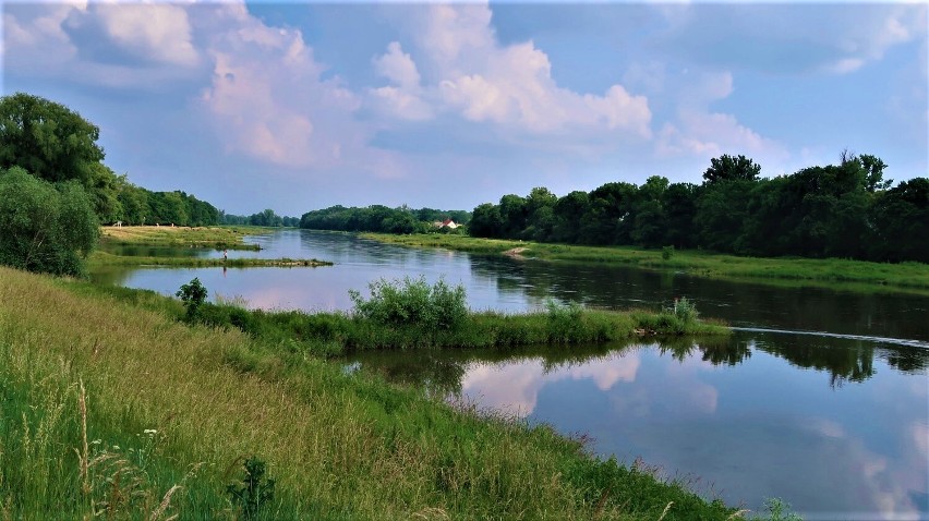 Doskonałym miejscem do spacerów z pewnością są wały nad...