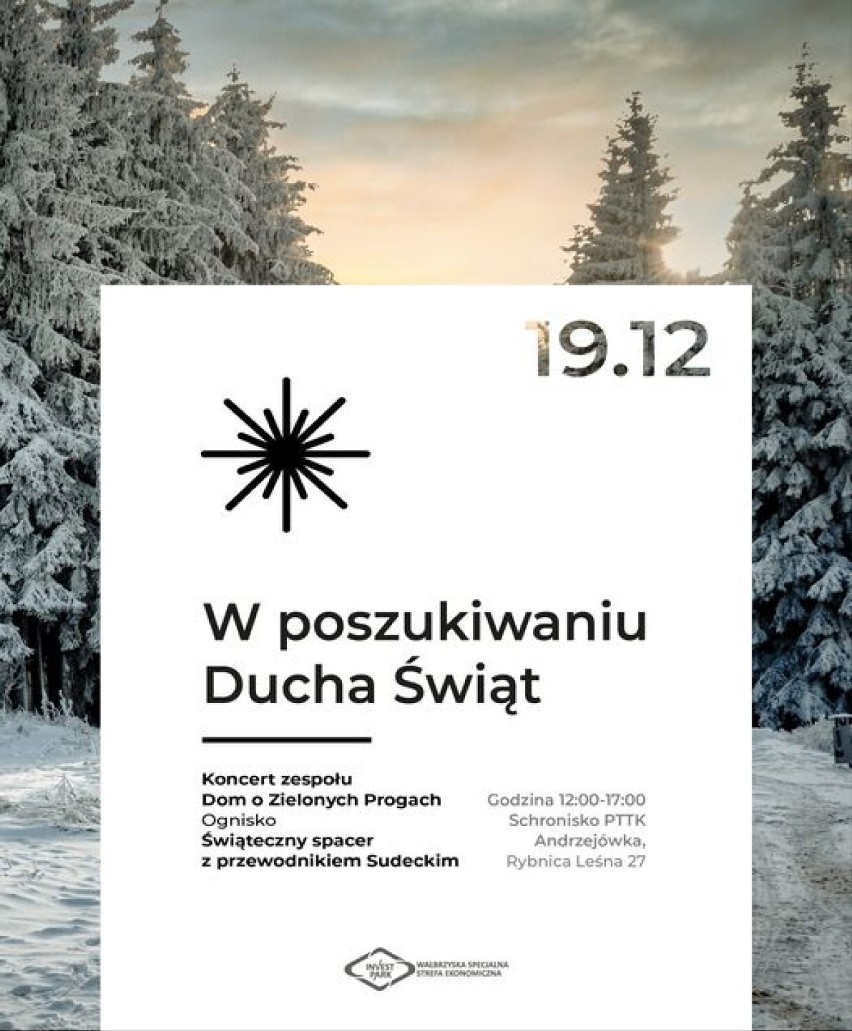 Poszukaj z Wałbrzyską Strefą Ekonomiczną w Andrzejówce Ducha Świąt!