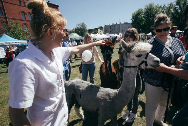 Bydgoski Festiwal Nauki odbędzie się w tym roku w dniach 23-27 maja.