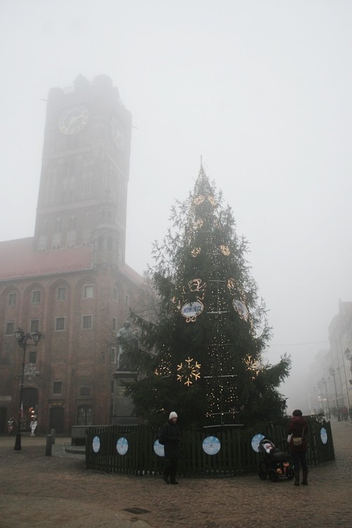 Toruń: Świąteczna choinka na starówce [ZDJĘCIA]