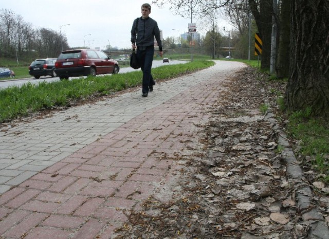 Wiele ścieżek rowerowych w Kielcach wciąż zasypanych jest piachem i nieczystościami. Wkrótce ma się to zmienić.