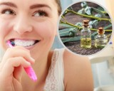 Olejek eukaliptusowy ochroni zęby. Zwalcza próchnicę lepiej niż popularne płukanki. Naturalny produkt zabija najbardziej oporne bakterie