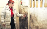 Szczecin: Pleśń w mieszkaniu zżera ściany, a urzędy umywają ręce