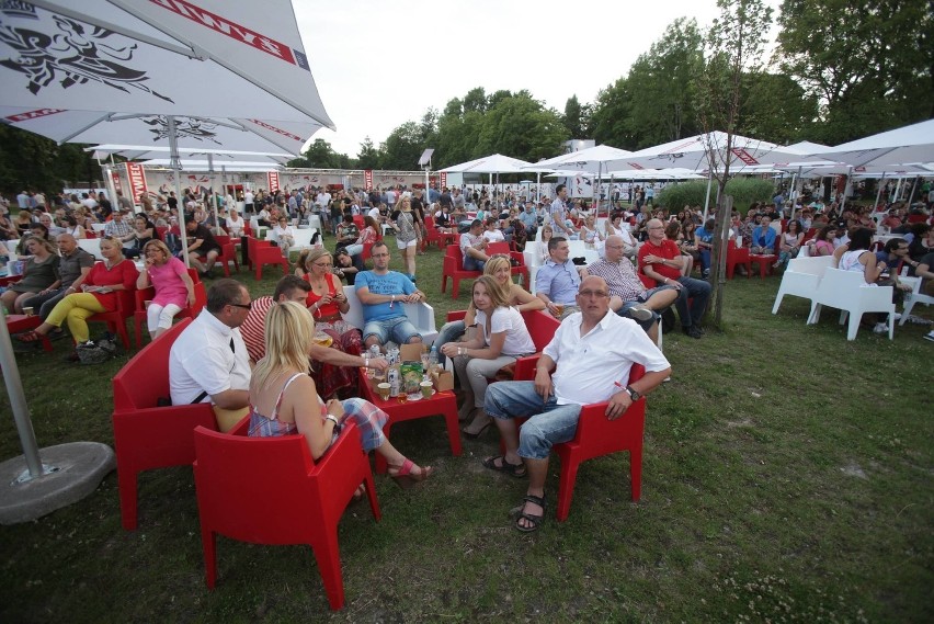 Męski Granie 2014 w Chorzowie