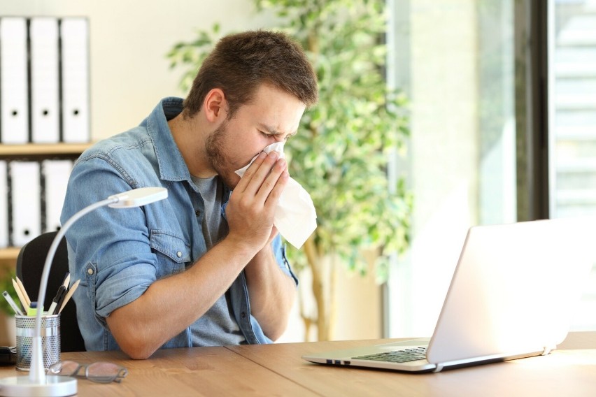 Alergiczny nieżyt nosa, czyli katar sienny, może występować...