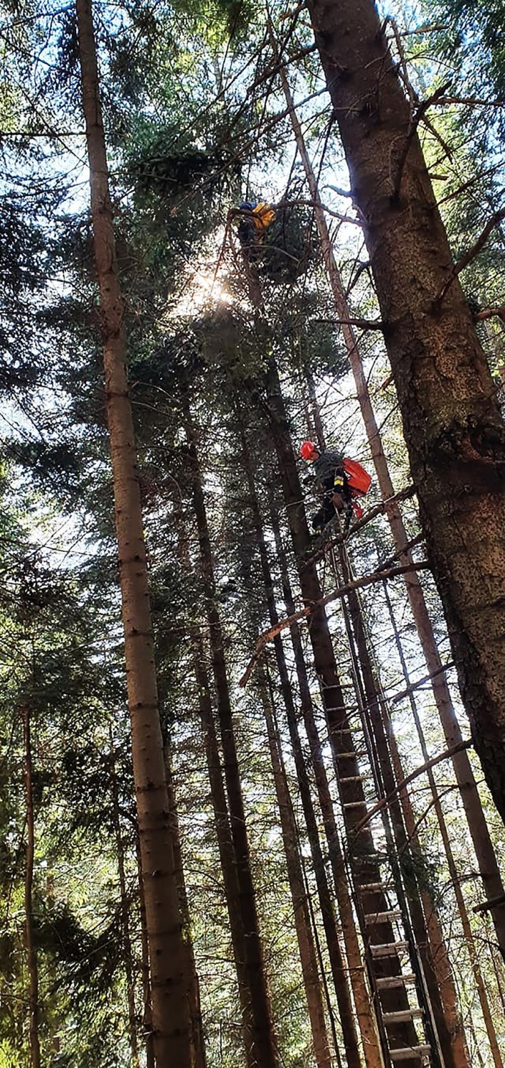 Paralotniarz spadł z nieba i zawisł na drzewie we wsi pod Limanową