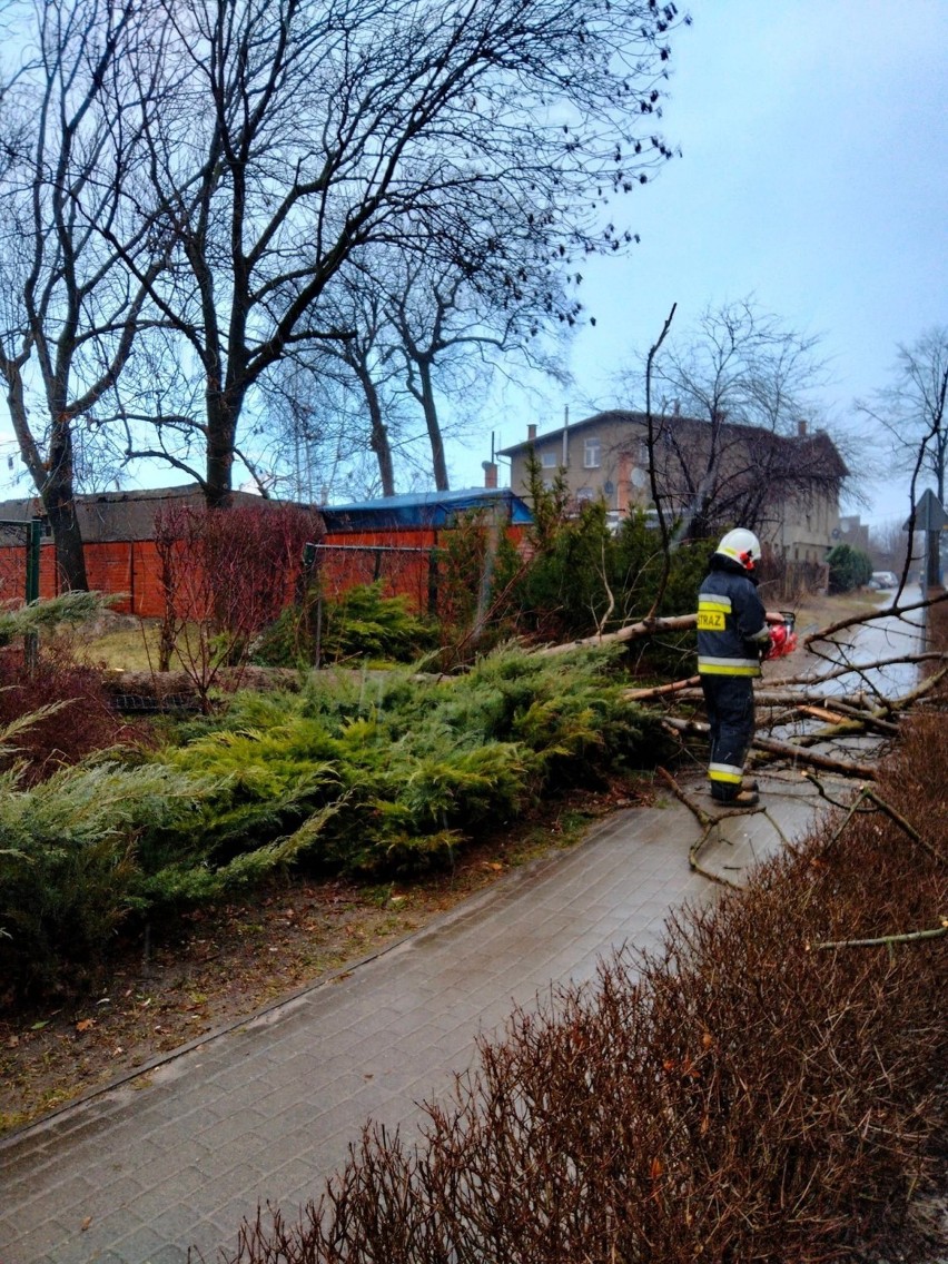 Strażacy z powiatu brodnickiego wyjeżdżali 150 razy do zdarzeń związanych z usuwaniem skutków silnego wiatru
