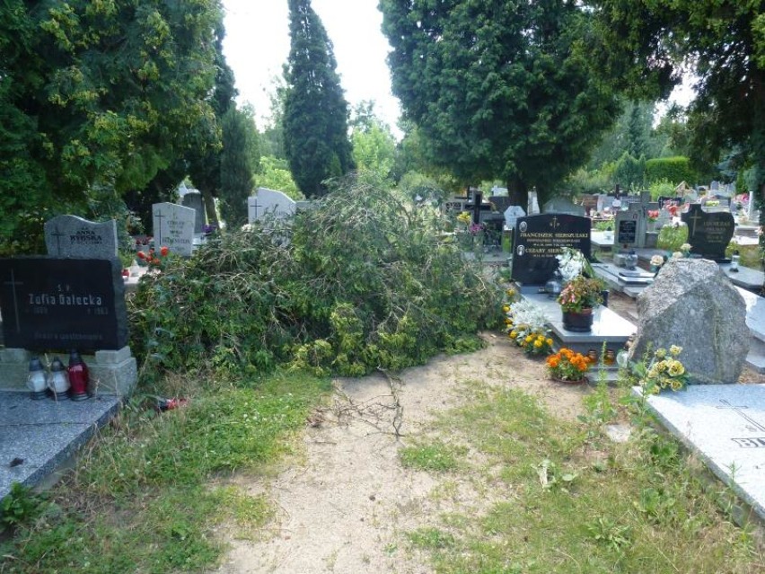 Cmentarz na Junikowie: skutki nawałnicy usuwane będą przez...