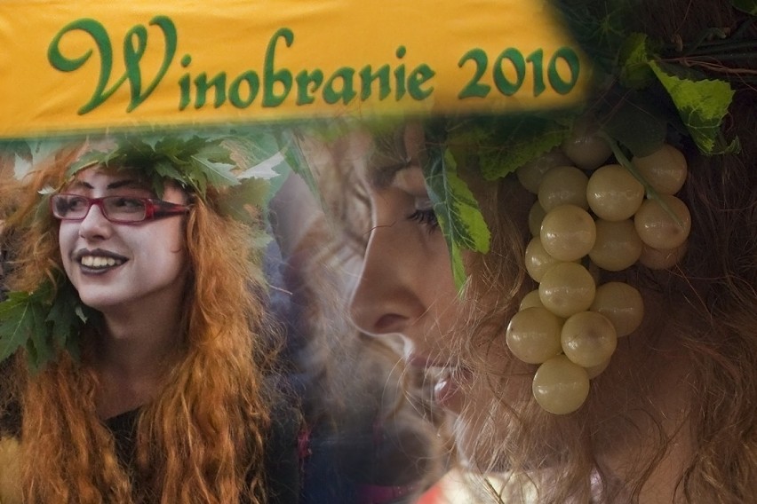 Winobranie 2010