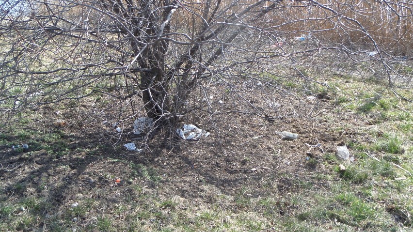 Śmieci  w centrum Myszkowa. Jak co roku po zimie  ZDJĘCIA