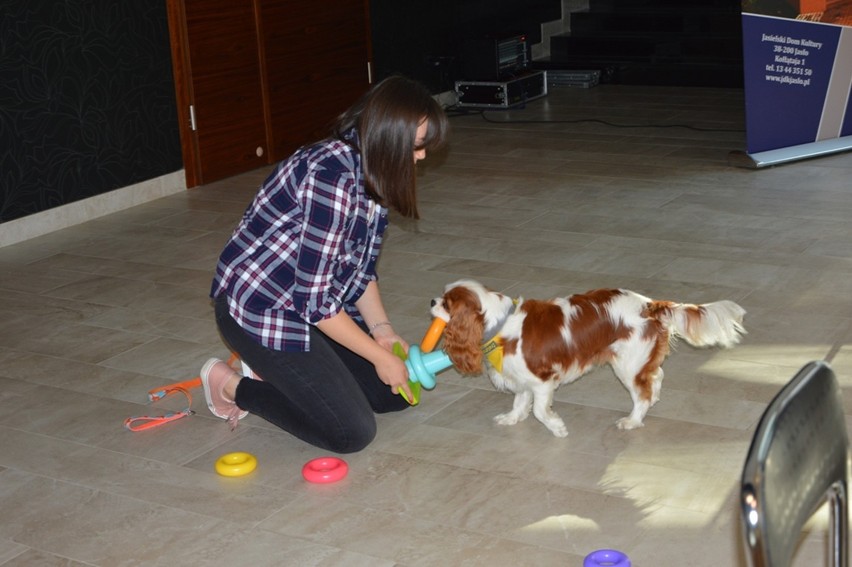 Psy, które pomagają w leczeniu - spotkanie w Jasielskim Domu Kultury