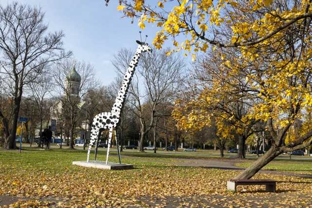 Żyrafa na Woli. Rzeźba - symbol dzielnicy - zostaje na Kasprzaka [ZDJĘCIA]