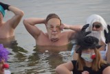 Powidzkie Morsy. Miłośnicy zimnych kąpieli w maskach zawładnęli plażą. Wśród nich maski znanych osobistości [FOTO, FILM]