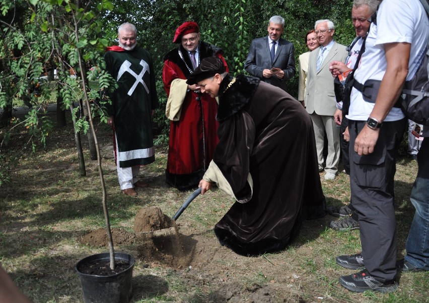 Sadzenie drzewa w Tarnowskich Górach z okazji 330. rocznicy...
