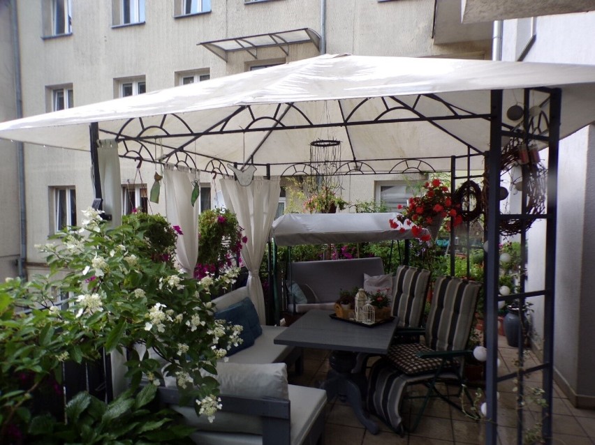 Właściciele najpiękniejszych balkonów w Elblągu zostali nagrodzeni
