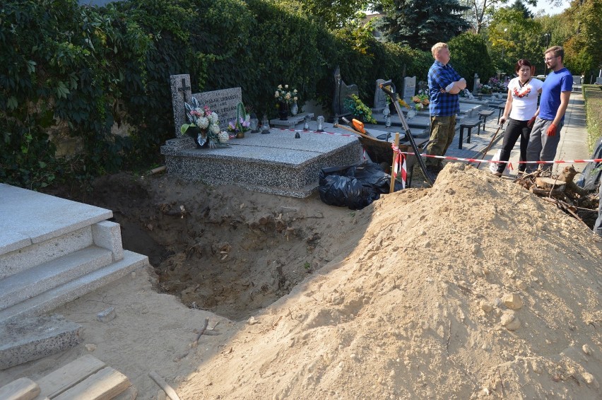 IPN  szukał żołnierzy pod murem cmentarza w Wieluniu. Wydobyto szczątki czterech osób [ZDJĘCIA]