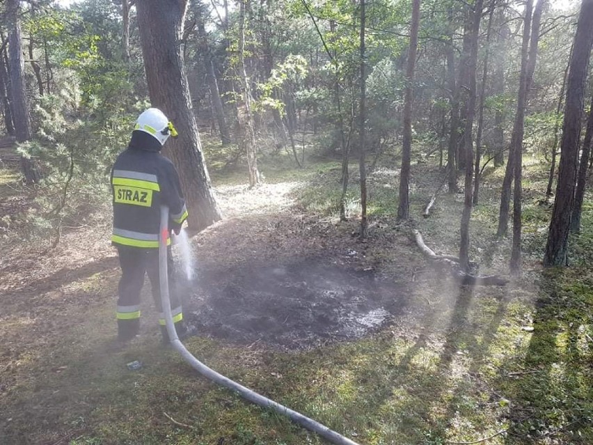 Akcja gaszenia ogniska w lesie w Helu 14.09.2019