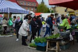 Miejskie targowisko przy ul. Kopernika w Kwidzynie znów jest otwarte [ZDJĘCIA]