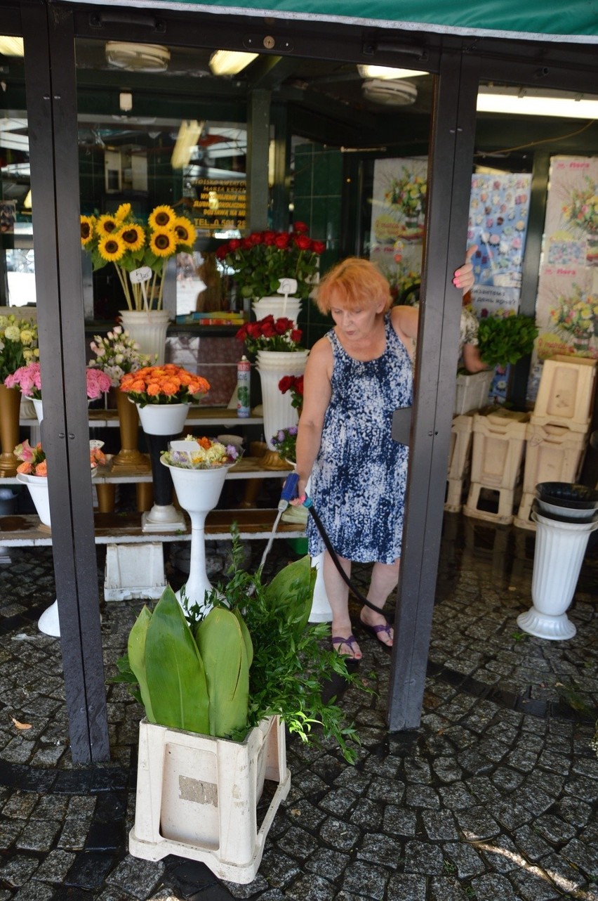 Pani Marysia sprzedaje kwiaty na pl. Solnym. - No przecież...