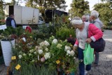 Zielone Ogrody nad Odrą  w Nowej Soli za nami. Pogoda sprzyjała kupowaniu roślin [ZDJĘCIA]