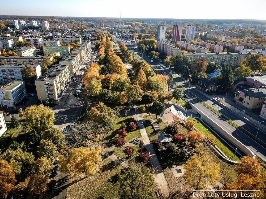 Park Jonstona i alejki przy fontannie