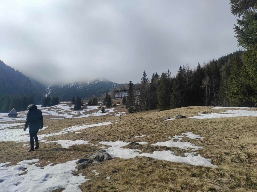 Tłumy turystów na Kalatówkach i w kolejce na Kasprowy. W Tatrach już prawie wiosna!  