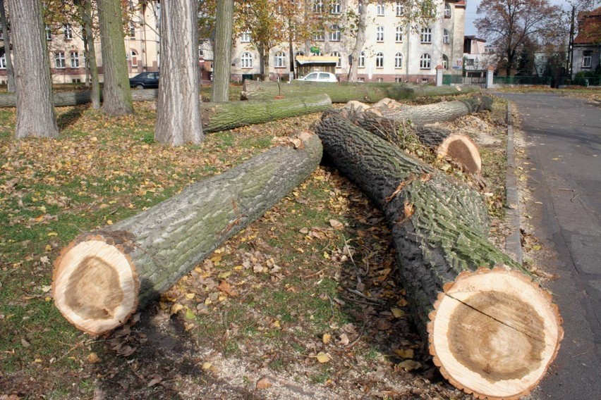 Wycięto drzewa przy WOK-u.