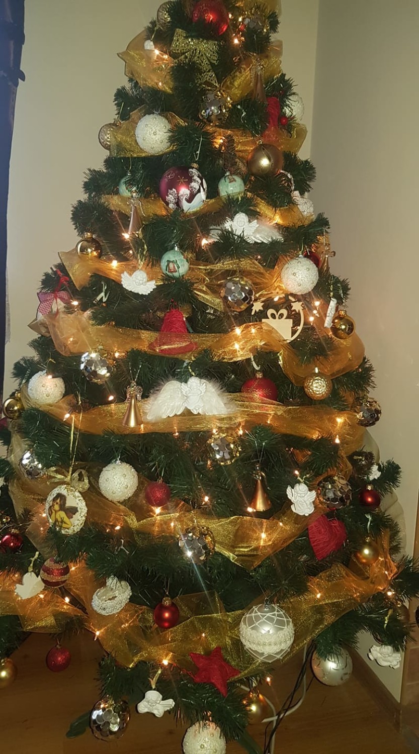 Nasi Czytelnicy pochwalili się swoimi drzewkami świątecznymi [ZDJĘCIA]
