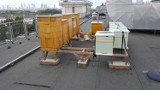 Pszczoły polują na słodkości na dachu fabryki Wedla