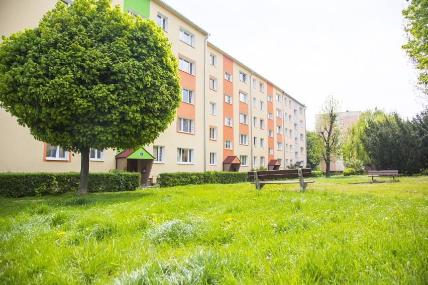 Mieszkań szukają studenci, młodzi pracownicy i nasi sąsiedzi...