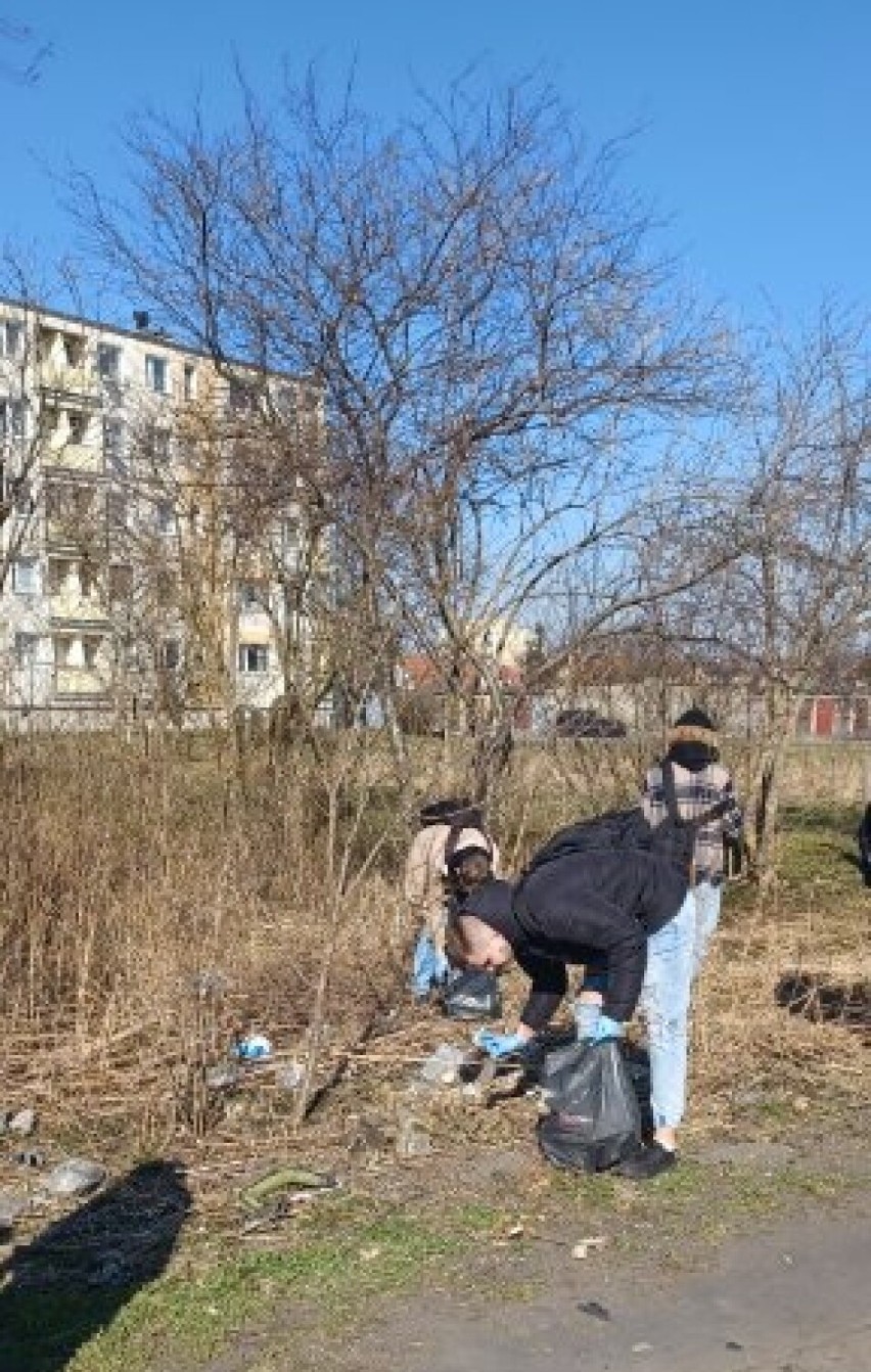 Malbork. Młodzież z ZSP 3 posprzątała miasto. To był pracowity pierwszy dzień wiosny 