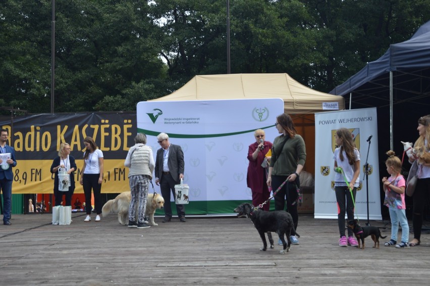 Pierwsze spotkanie miłośników zwierząt w Wejherowie [ZDJĘCIA]