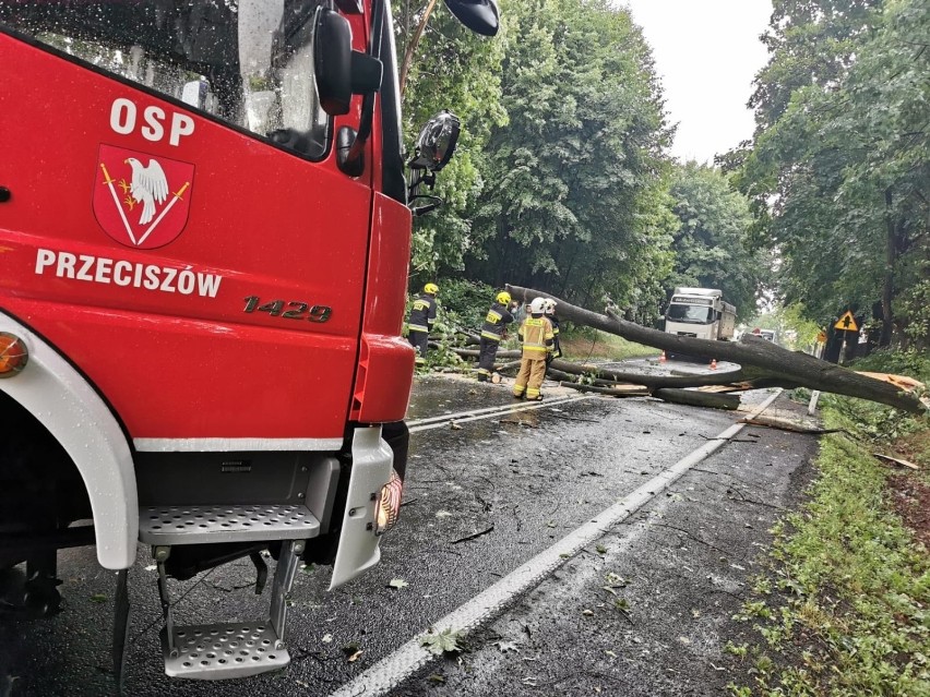 Powalone drzewa, pozrywane dachówki, podtopione piwnice i...