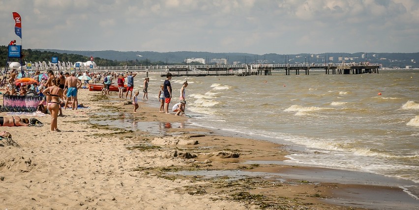 Sinice już na 49 plażach na Pomorzu. Problem z sinicami jest przekleństwem dla turystów [zdjęcia,wideo]