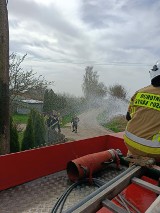 Lany poniedziałek u strażaków w powiecie zduńskowolskim ZDJĘCIA, FILM